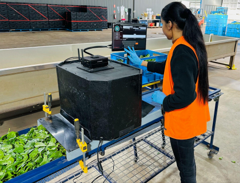 GoMicro AI-in-a-Box Leafy Green Quality Control System